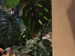-原石牛扒·约会餐厅(龙城万科里店)