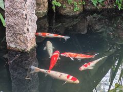 -青青世界