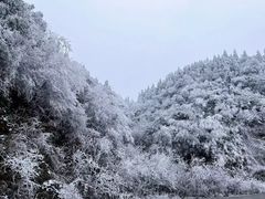 -永州阳明山国家森林公园