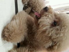 -广州保龄球馆(广州天河体育中心店)