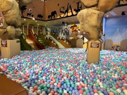 -卡通尼·Safari非洲探索乐园·生日会(金桥国际商业广场店)