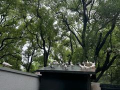 -上海宋庆龄故居纪念馆