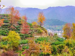 -塔川景区