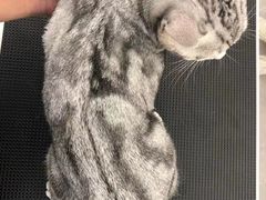 -comecome来吧宠物(奥克斯中心店)