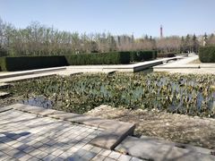 -洛阳市隋唐城遗址植物园