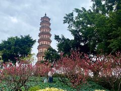 -广州莲花山旅游区