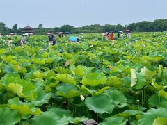 -梁鸿国家湿地公园