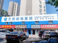 -万博宠物医院·手术·诊疗(未央凤城五路店)