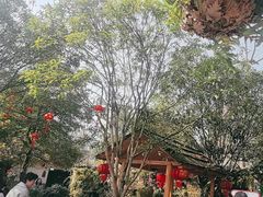 -青城甲(青城山店)