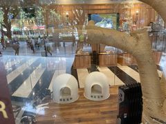 -袖虎·猫馆(体育西路店)