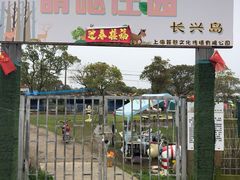 -上海长兴岛郊野公园