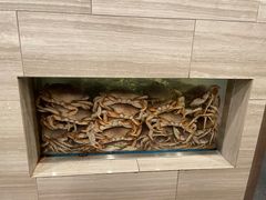 海鲜池-避风塘潮粤海鲜酒楼