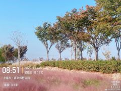 -嘉北郊野公园
