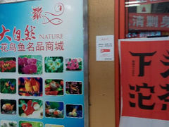 android_upload_pic-大自然花鸟鱼虫市场
