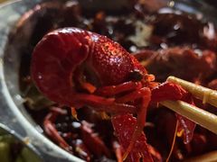 麻辣龙虾-九喜龙虾(凤城六路直营店)