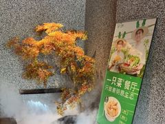 -壹只菜·崇明本地特色菜(崇明南门店)