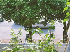-塔拉苏咖啡(中信丹阳花园店)