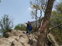 -紫金山山顶公园