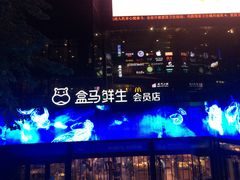 -盒马鲜生(杭州运河上街店)