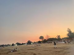 -厦门国家会计学院