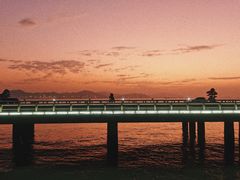 -演武大桥观景平台