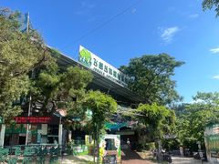 -芦仙山景区-飞越丛林探险乐园