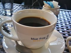 -bluefrog蓝蛙(皇庭广场店)