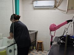 -乐琪宠物医院·犬猫专科·骨外科·急重症