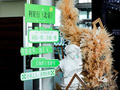 -奔驰利星行(北京花乡店)