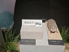 -呼和浩特博物馆
