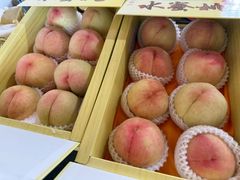 -南汇水蜜桃采摘(大团店)