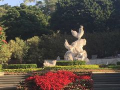 -金鸡山公园