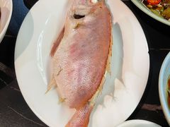 -吴记富苑(朝阳店)