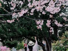 -堤角公园