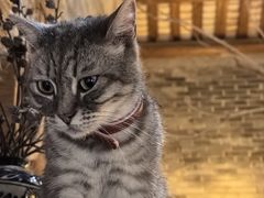 -老屋咖啡