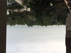 三亚湾海居铂尔曼度假酒店-三亚湾海居铂尔曼度假酒店