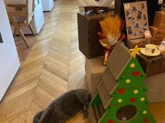 -Me Coffee下午茶艺术空间