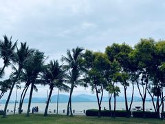-深圳湾公园(南山区)