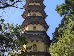 -阿育王寺