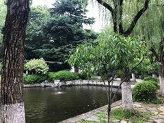 -南京中国近代史遗址博物馆(南京总统府)