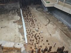 -元代水闸遗址博物馆