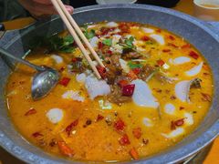 -龙梅肥肠鱼(明瓦廊店)