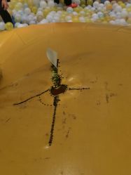 -meland亲子乐园•派对•研学(苏州悠方购物中心店)