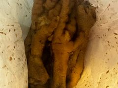 -鸡脚旮旯平江路店