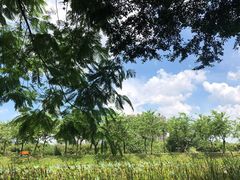 -田心森林公园