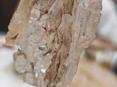 -官塘陈记鱼生·潮汕砂锅粥·牛肉火锅(潮枫路总店)