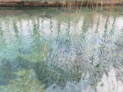 -济南大明湖景区