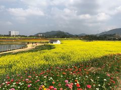 -光明小镇欢乐田园