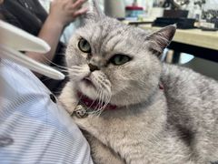 -Oasis绿洲银饰珍珠手作diy(壹方城店)