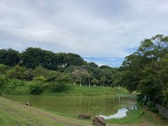 -松山湖梦幻百花洲